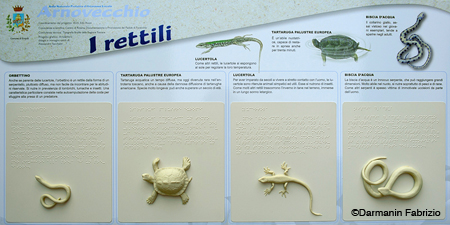 A_pannelli_tattili_5374