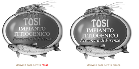 logo-TOSI-BOLLA