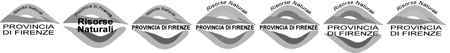 provfi-logo grigio