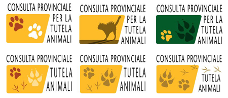 provincia  CANE E GATTO-5