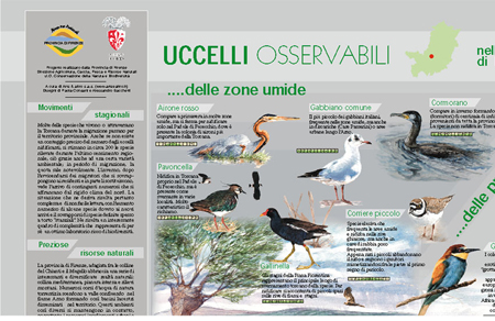 provfi POSTER UCCELLI part3