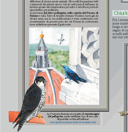 provfi POSTER UCCELLI part5